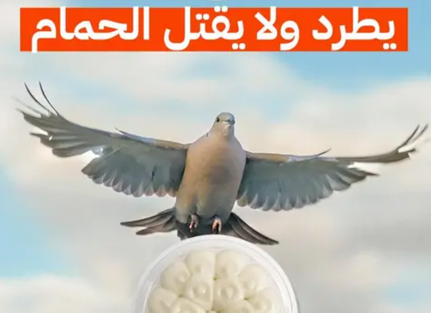 ads