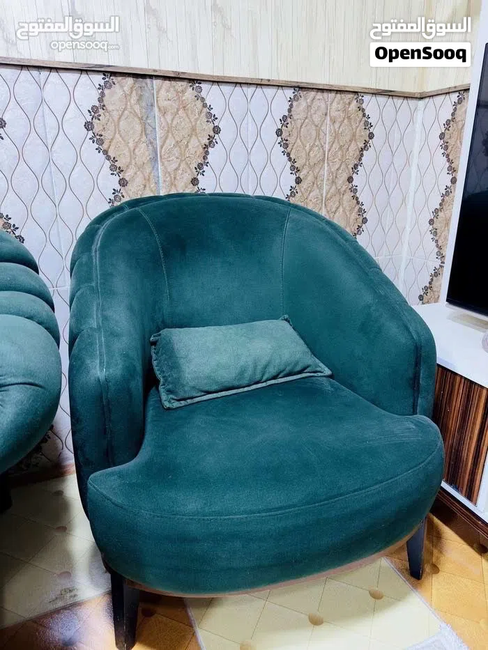 تخم قنفات تركي