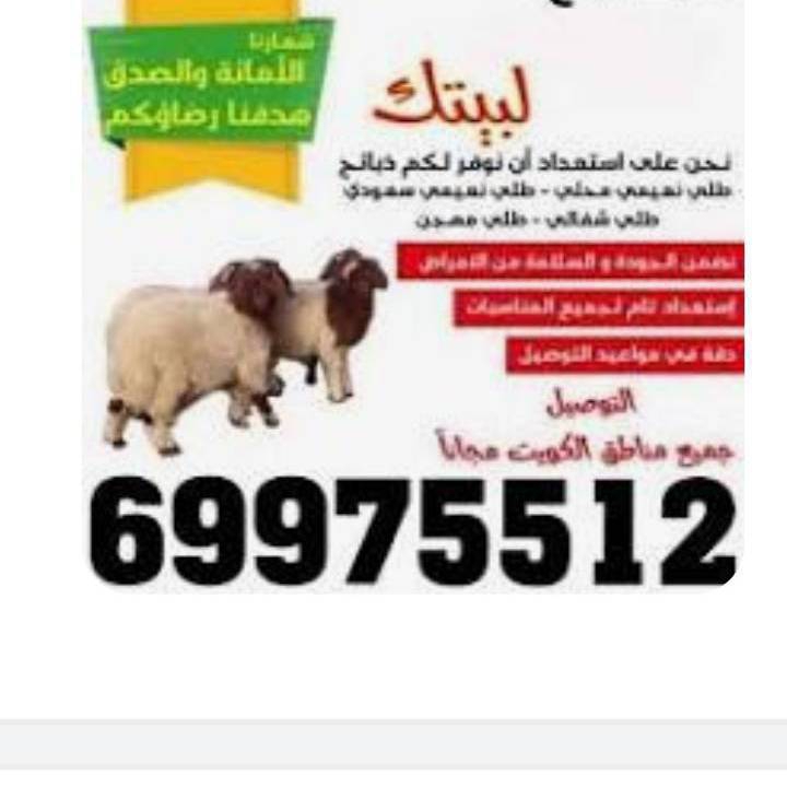 توصيل ذبايح بالكويت