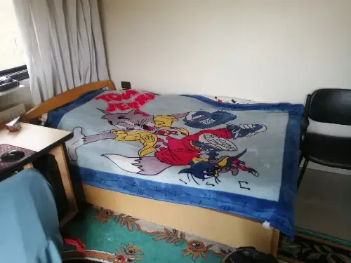 سرير مفرد ونص