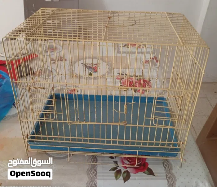 قفاص متع عصفور كناري