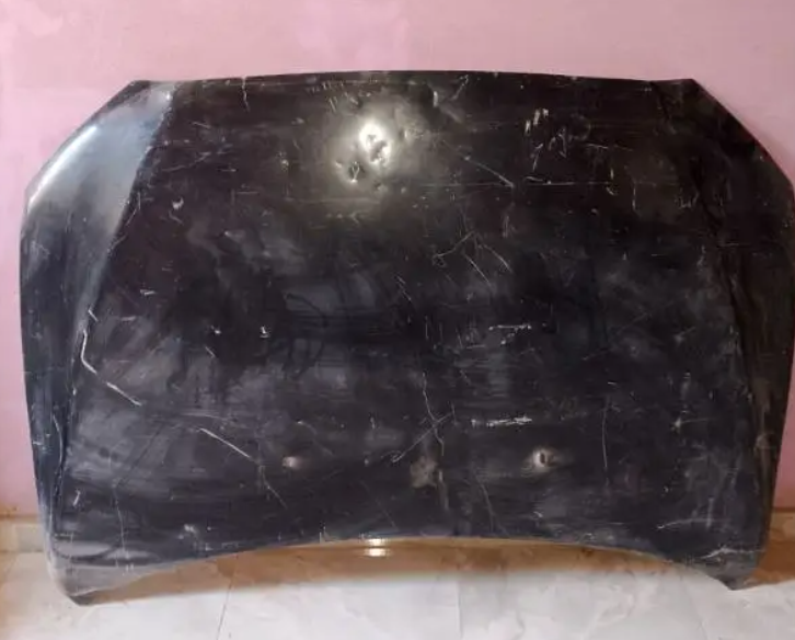 كبوت لانسر شارك