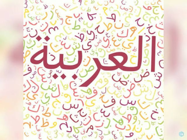 أستاذ اللغة العربية