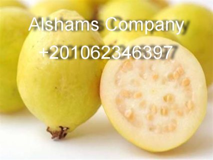 الجوافة الطازجة