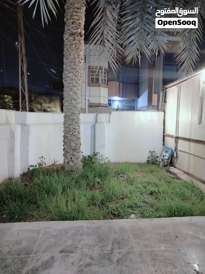 بيت الايجار العباسيه  0
