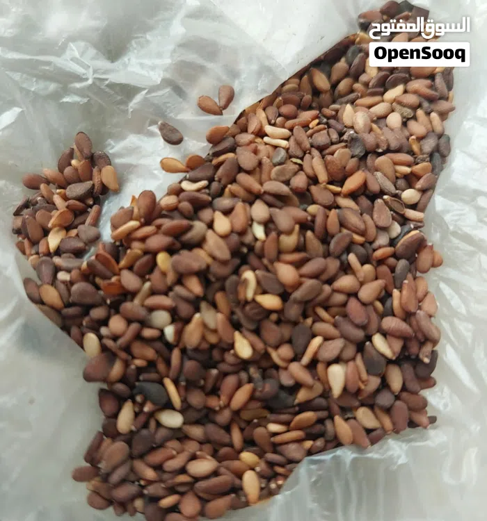 سمسم و حلبا عمانيه