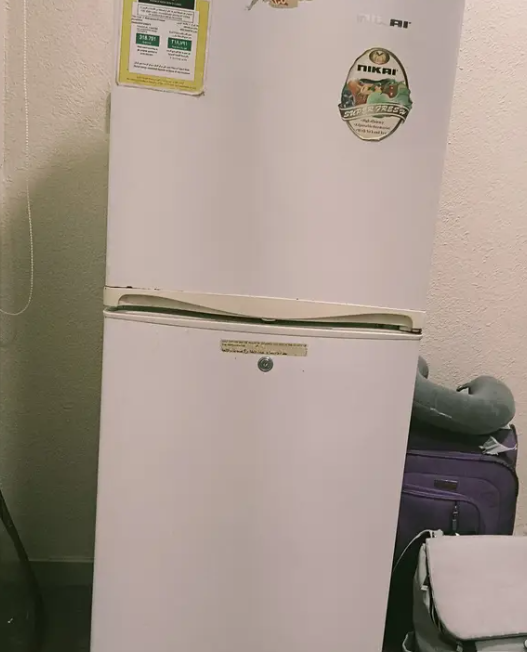 refrigerator Fridge ثلاجة