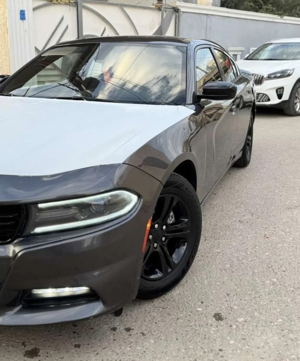 جارجر مديل ⁦2018