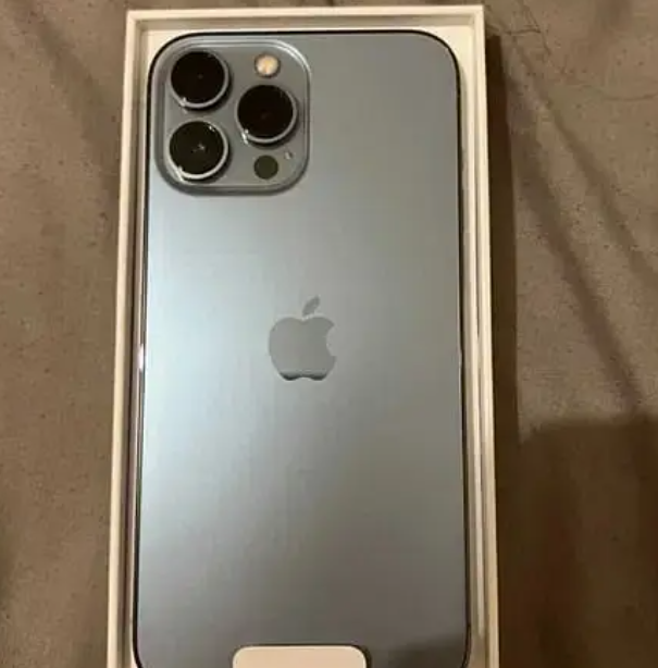 Apple iPhone 13 pro max