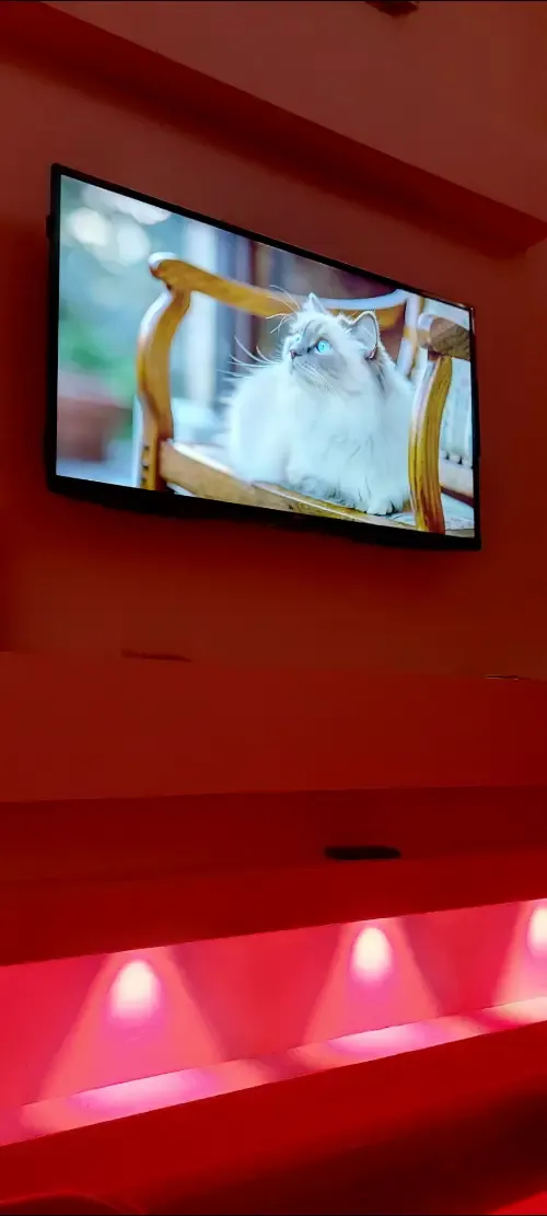 شاشة ناشيونال