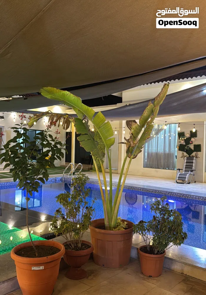 شالية إيوانيا للفخامة عنوان 4.4 9