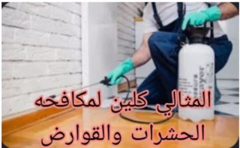 المثالي خدمة المنزل