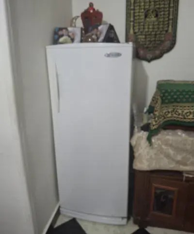 للبيع ديب فريزر اليكتو ستار