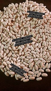 White kidney beans -