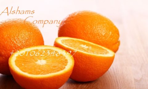 Fresh orange -