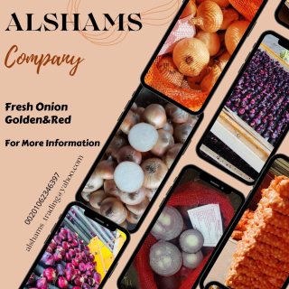 Fresh onion