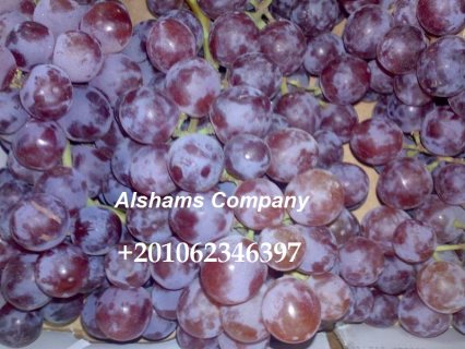 العنب الطازج