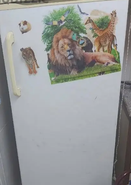 ديب فريزر للبيع نو فريست للبيع في العبور