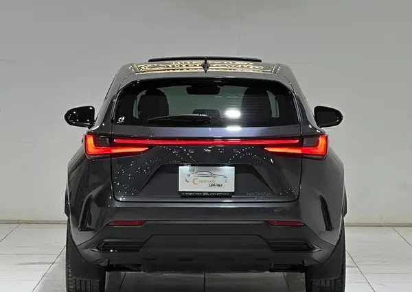 Lexus NX350 2024 Like New For Sale In Riyadh