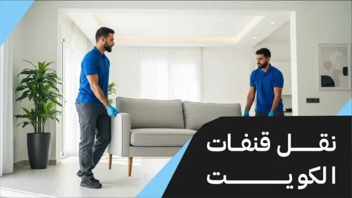 نقل قنفات حولي