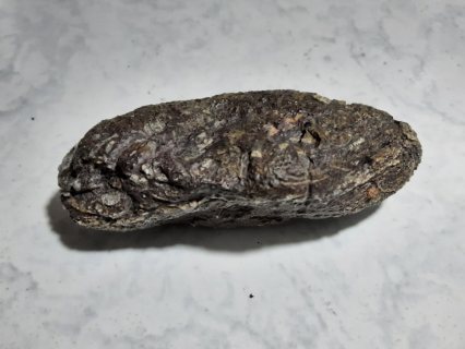 نيزك نادر في الصحراء المغربية طنجة