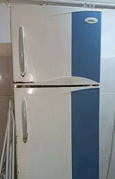 تلاجة سيلتال في القاهرة