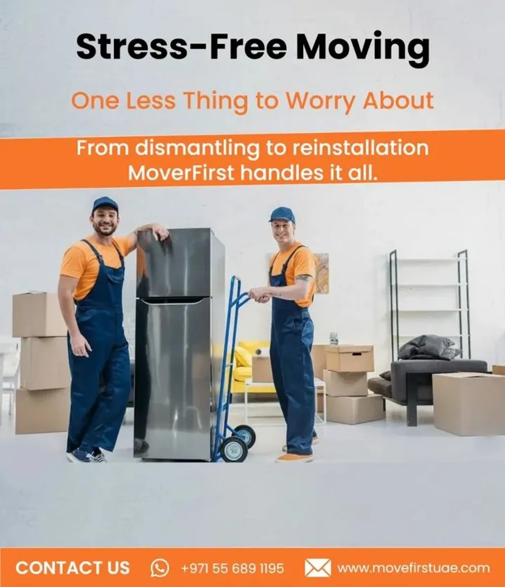 profe ssional movers دبي