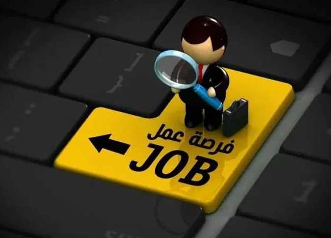 مطلوب كرو مطعم فالصاله