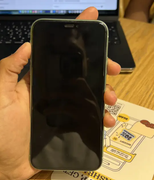 Apple - iPhone 11 في عين شمس