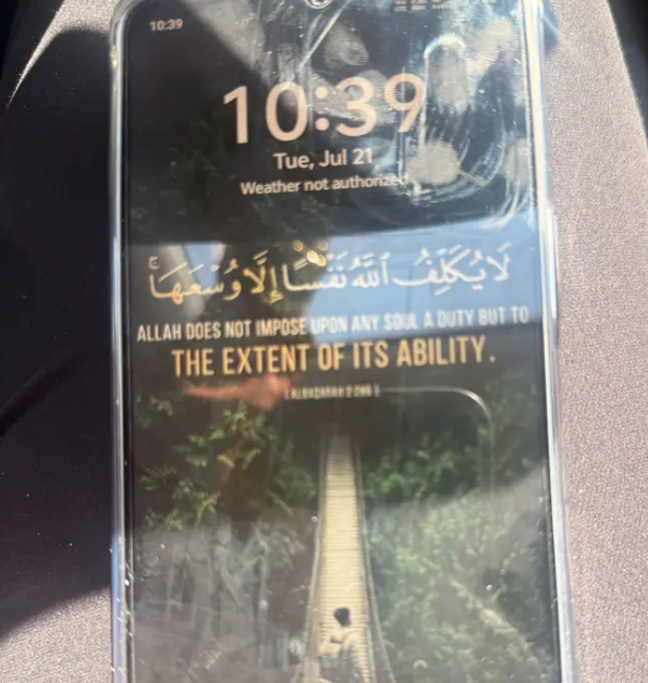 Vivo Y50 في القاهرة